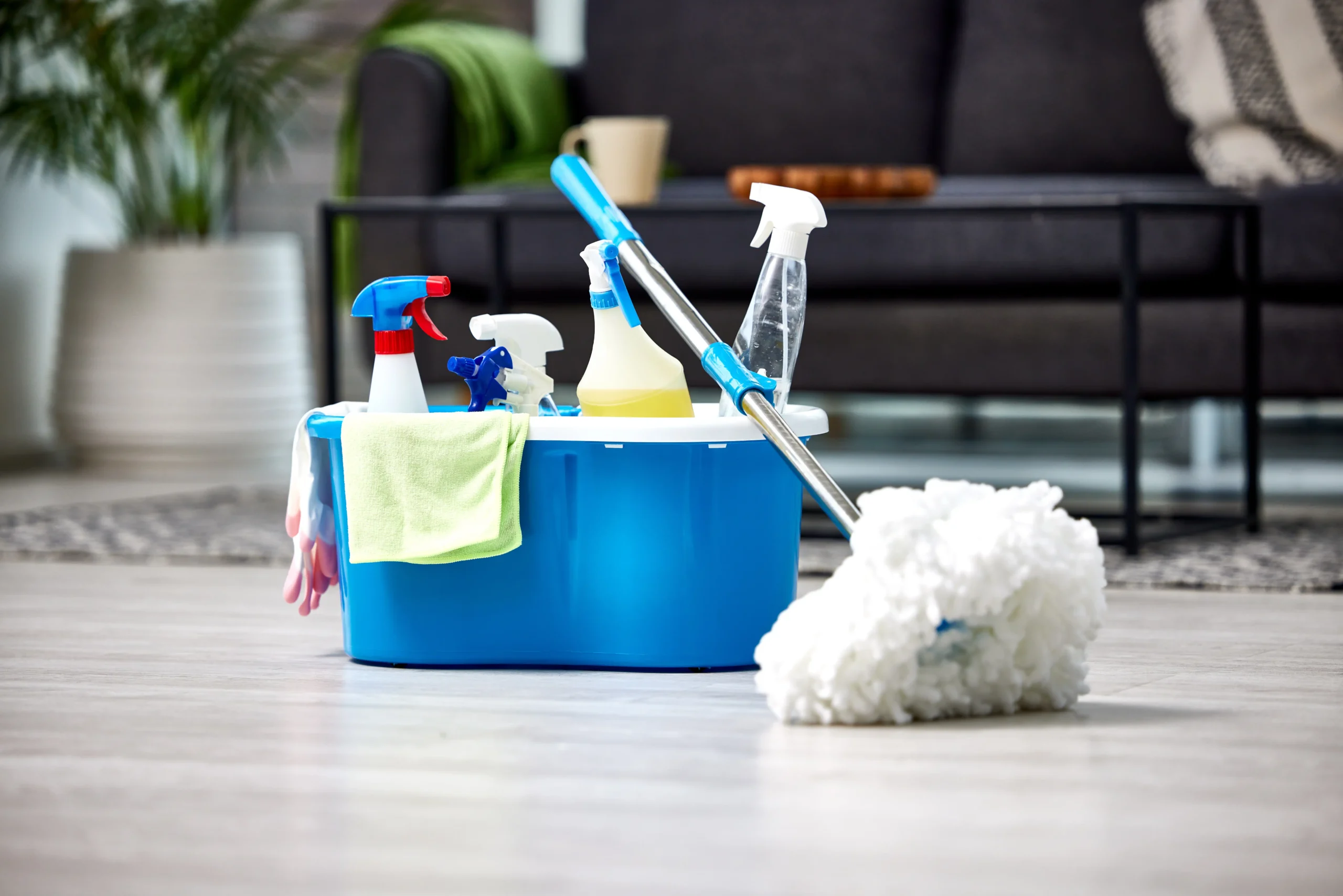 cleaning supplies arranged in a tidy room 2026 01 09 09 23 50 utc scaled